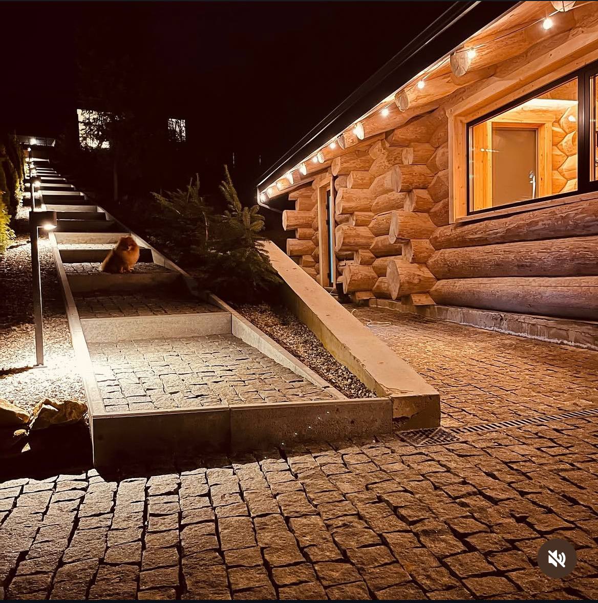 Зовнішній вигляд